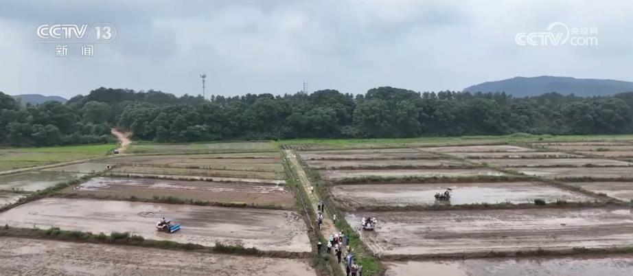 三位一体新技术 助力种粮节本增效