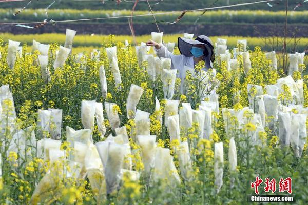 中方出口管制措施与美国的出口管制措施有何不同？外交部回应